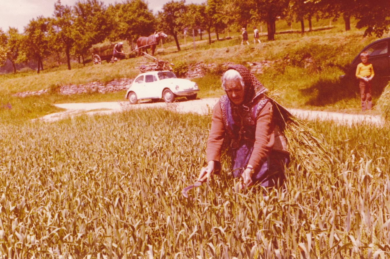 Auf geh. Wegen durch Mödring